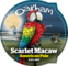 Scarlet Macaw