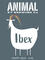 Ibex