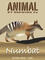 Numbat