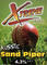Aussie Sand Piper